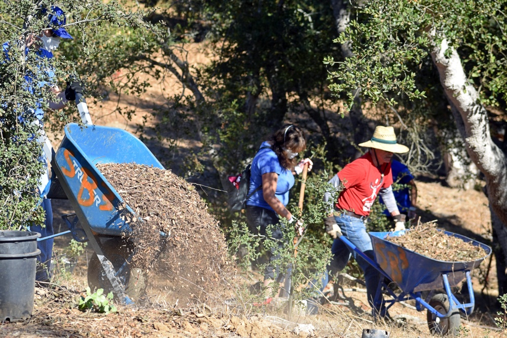 Casa Dorinda open space cleanup