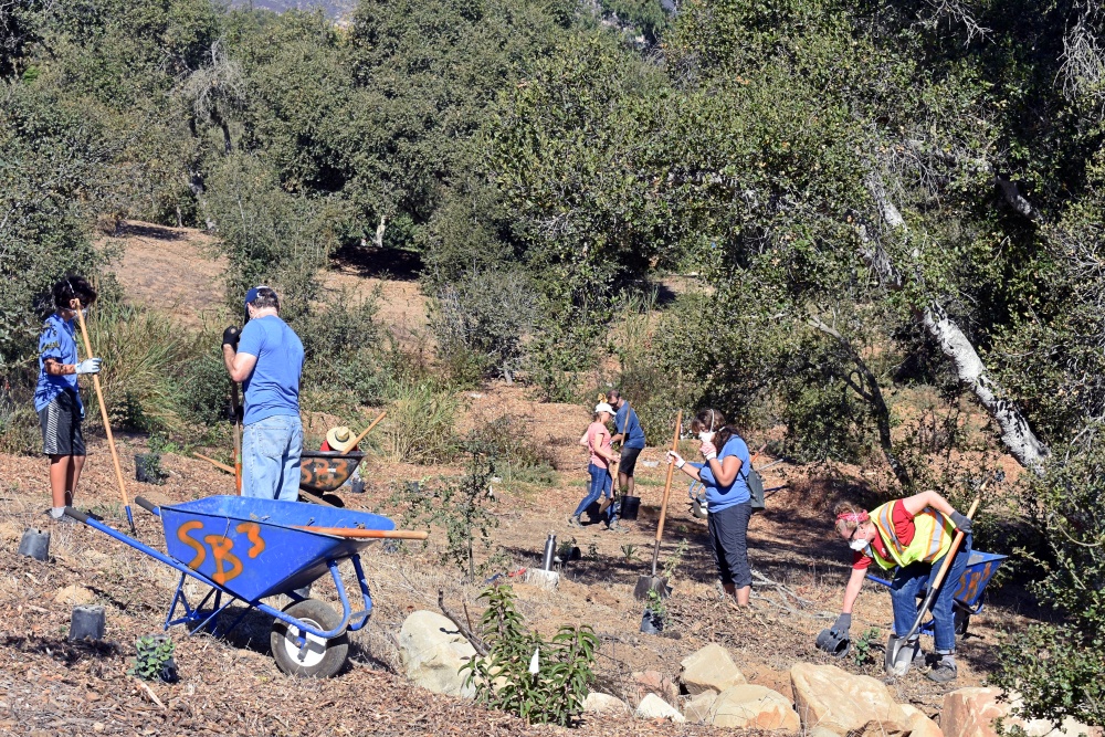 Casa Dorinda open space cleanup